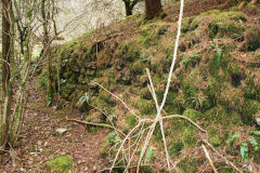 
Lascarn Quarry, Northern tramroad, March 2009